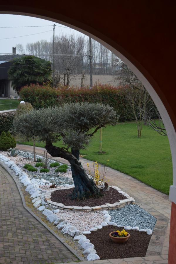 Il Farfasole Panzió Vigonovo  Kültér fotó